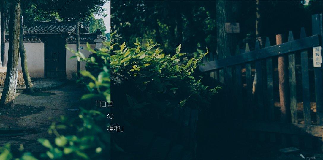 探索蜗牛奇妙世界,心真大,能够原谅另一半出轨的星座有哪几个?问答平台等你来解密!