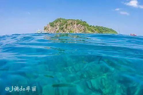沪江开心词场
